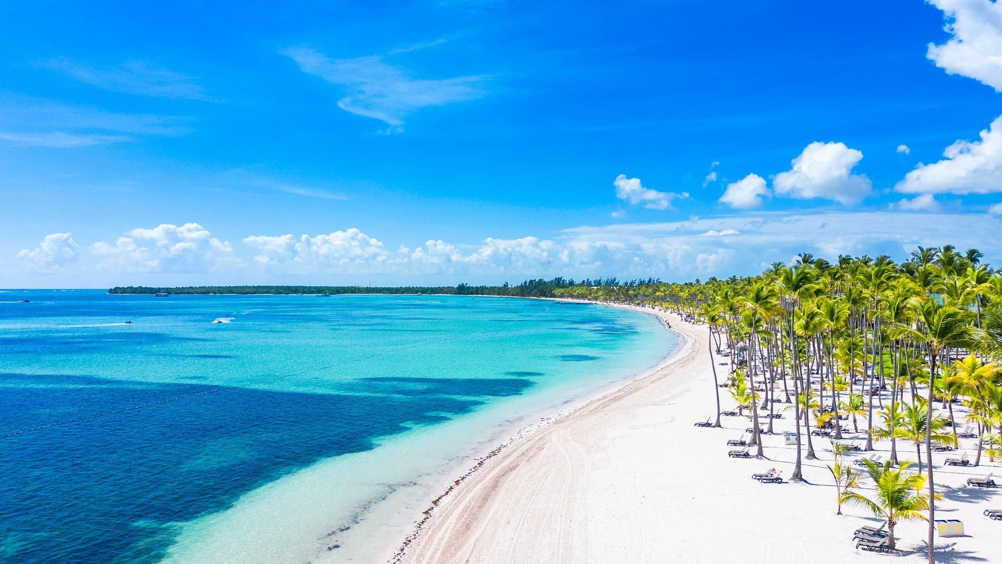 Macchia mediterranea, acqua cristinallina