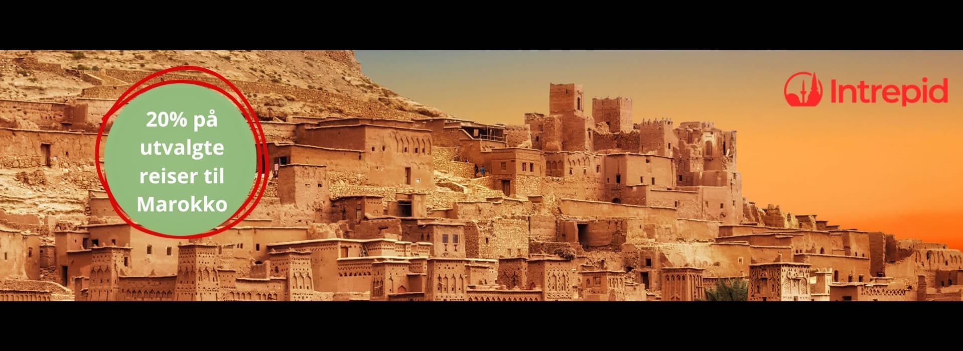 Intrepid January Sale 2026