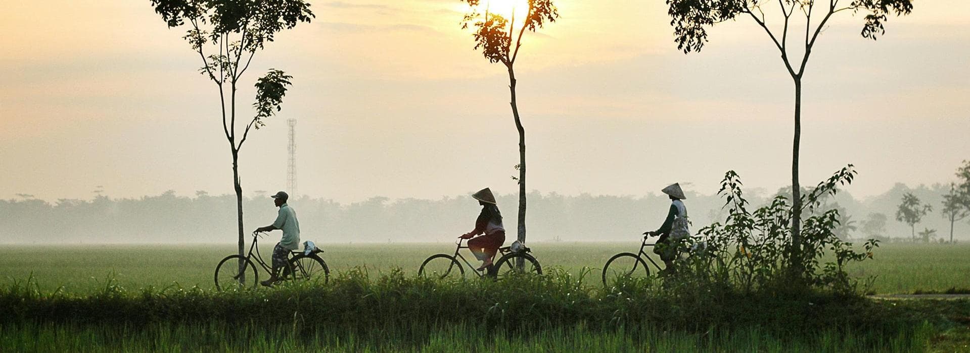 Pedalando tra le risaie di Bali