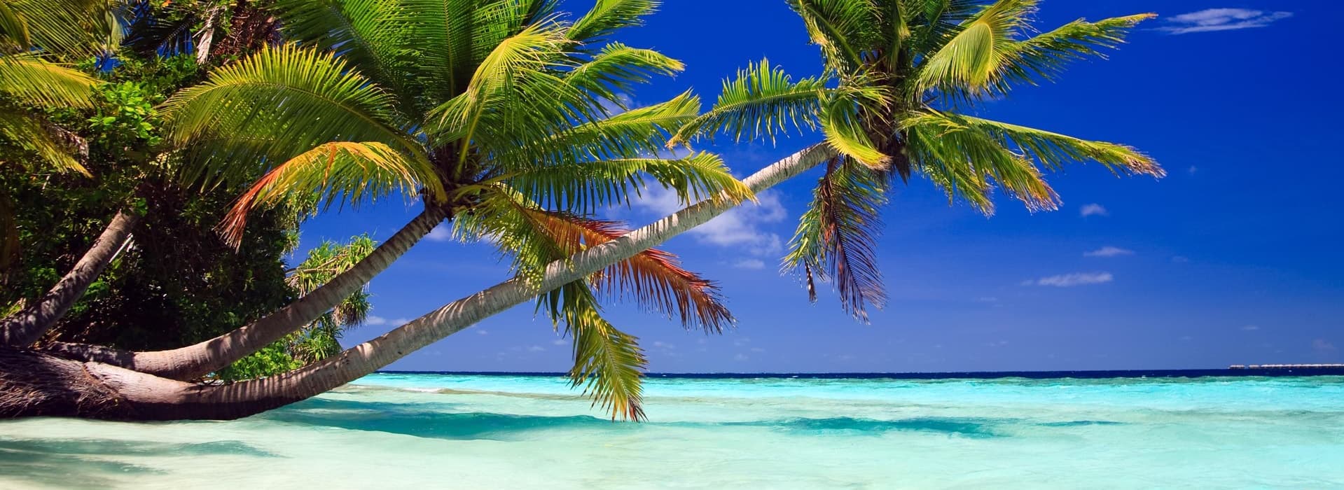 Opplev Gullivers store verden