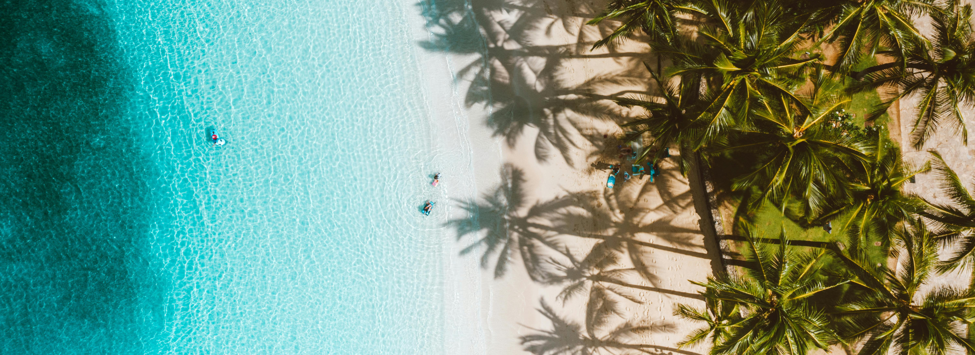 banner playa paradisíaca fondo