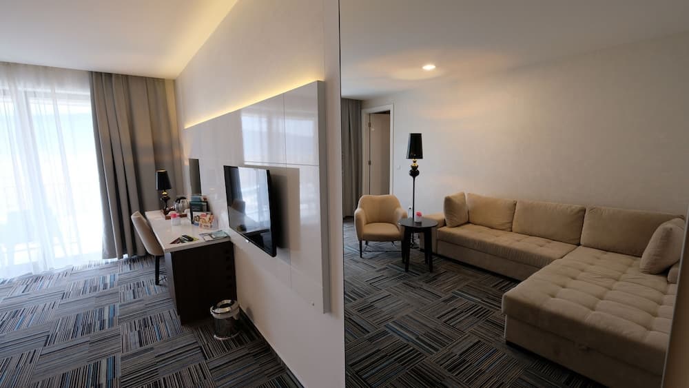 Hotel Hills Congress & Termal Spa Resort, Living area