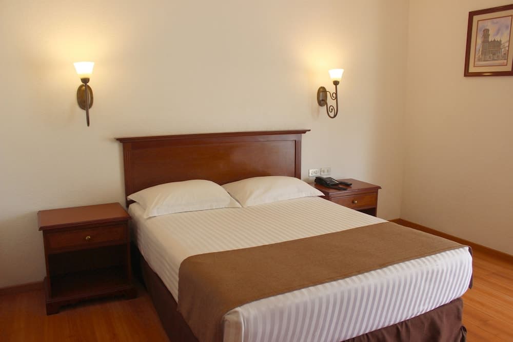 Hotel De Mendoza, Room