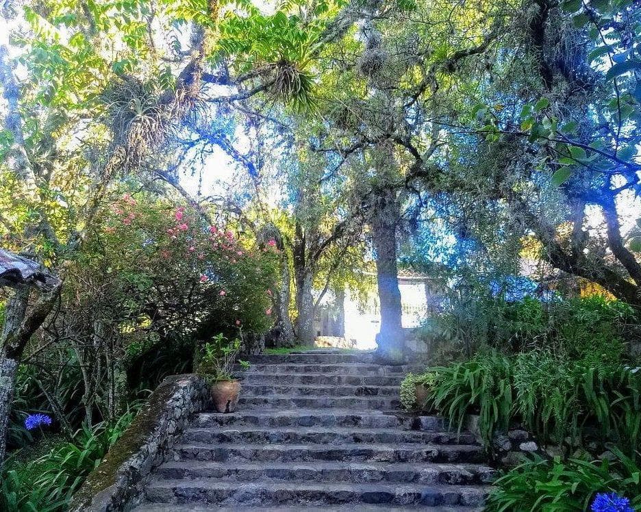 Hotel El Patio de Monterrey, 