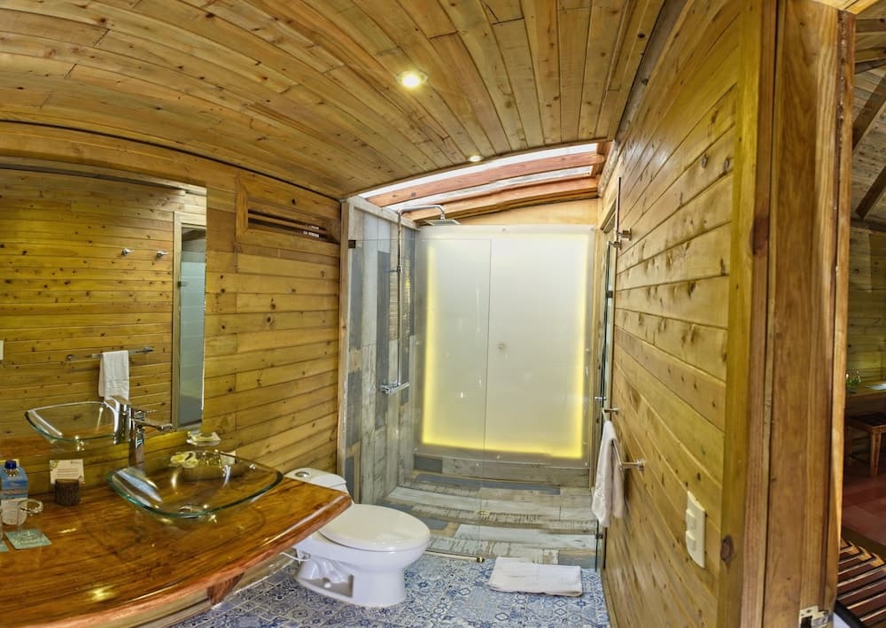 Hotel Isla del Encanto, Bathroom shower