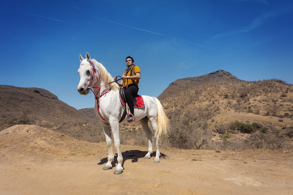 Atana Stay Salalah, Horseback riding