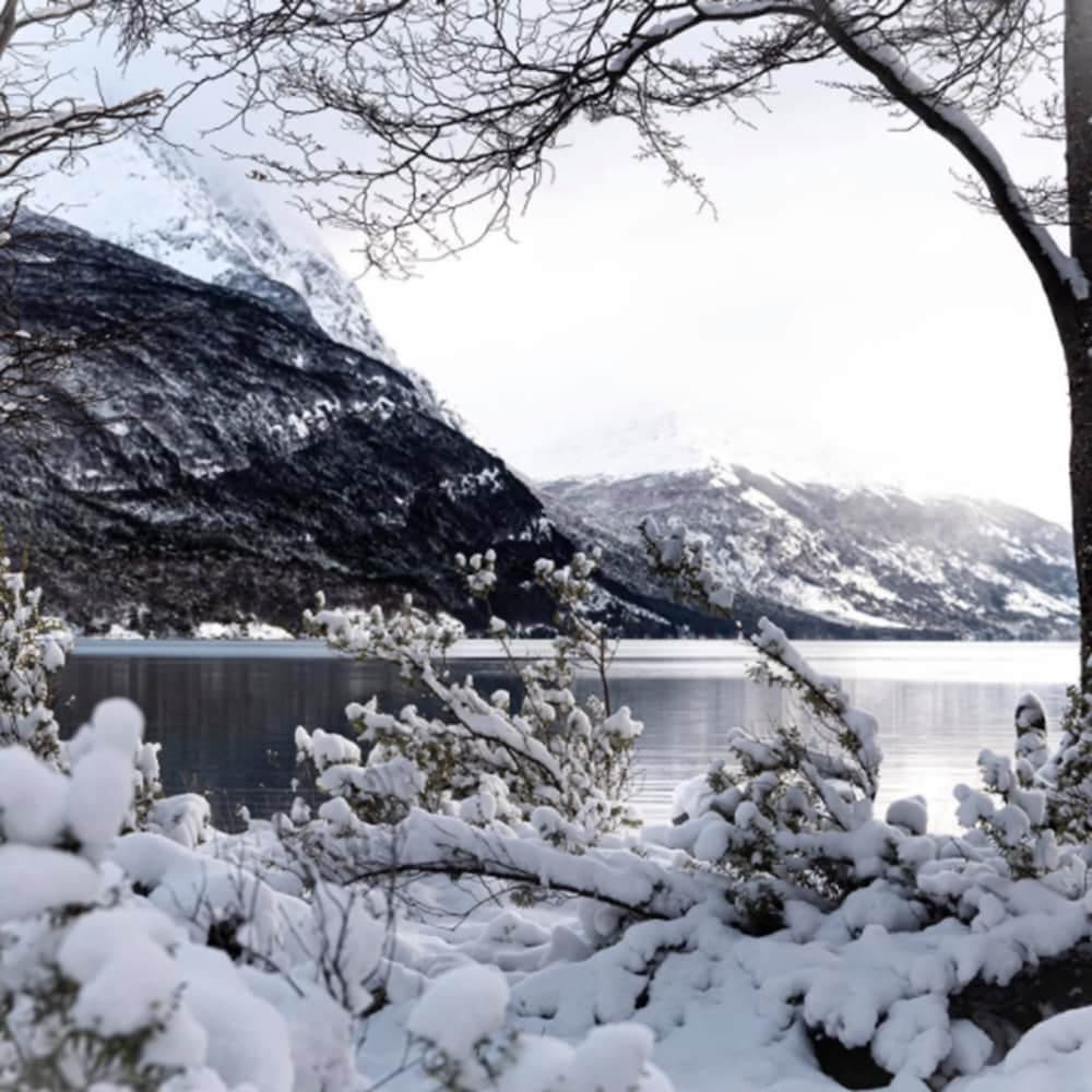 Hostal Del Bosque Apart , Skiing