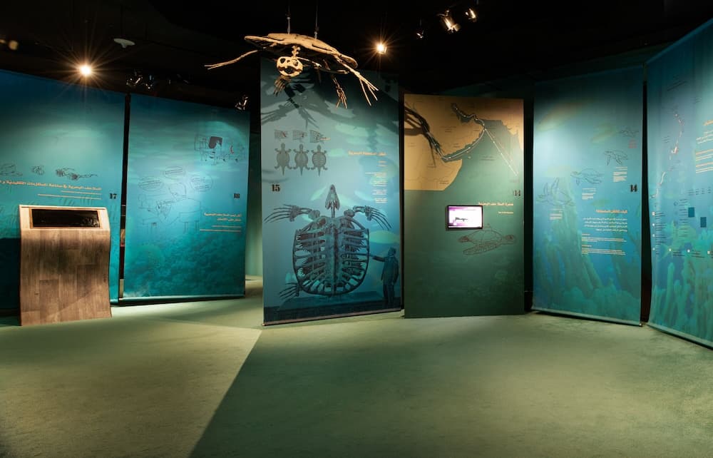 Ras Al Jinz Turtle Reserve, Interior