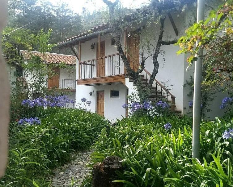 Hotel El Patio de Monterrey, 