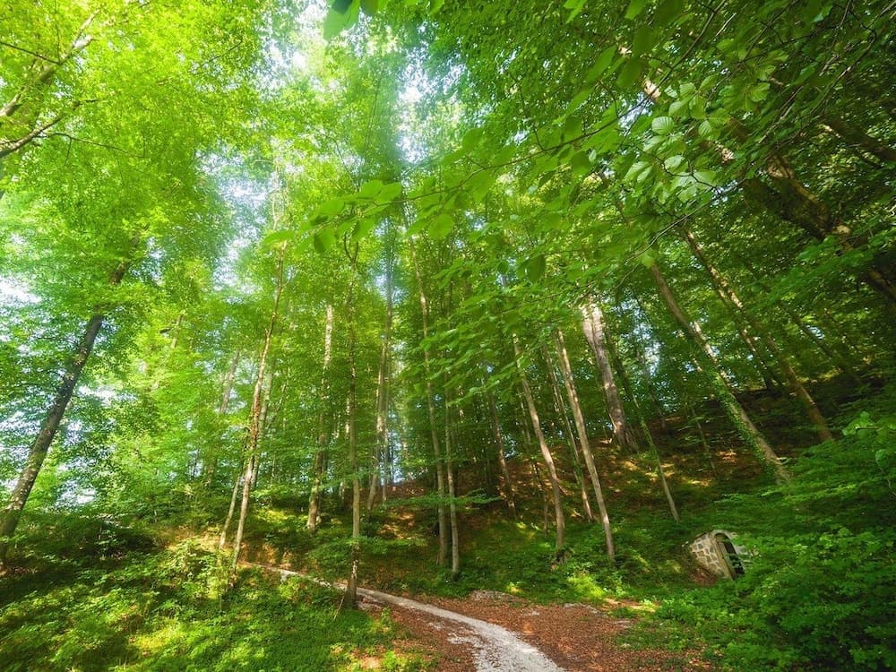 Atlantida Boutique Hotel *****, Property Grounds