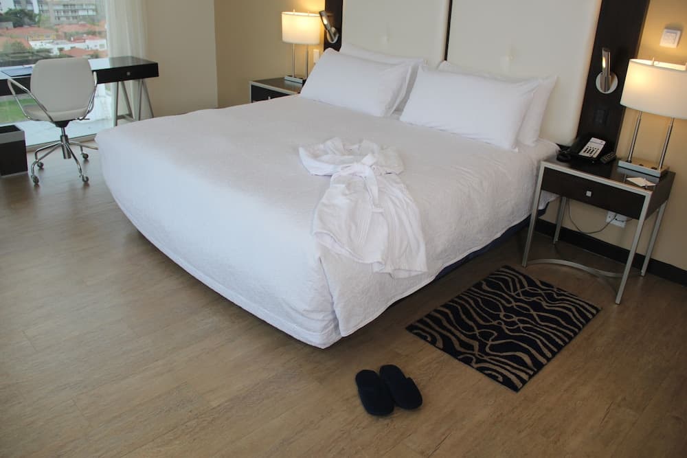 Hampton by Hilton Santa Cruz, Room