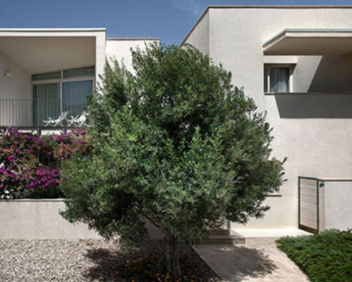 Residence Cala Palme, 