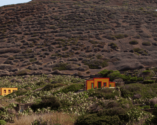 Appartamenti Roulette Linosa, 