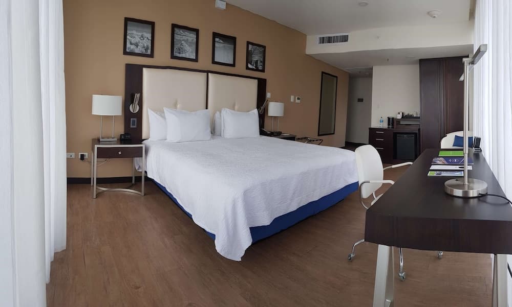 Hampton by Hilton Santa Cruz, Room