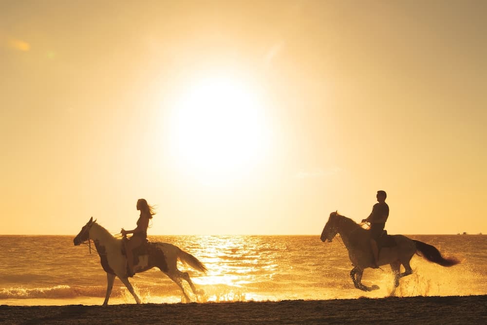 Zoetry Agua Punta Cana - All Inclusive, Horseback riding