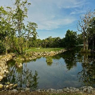 IBEROSTAR PUNTA CANA ALL INCLUSIVE, 