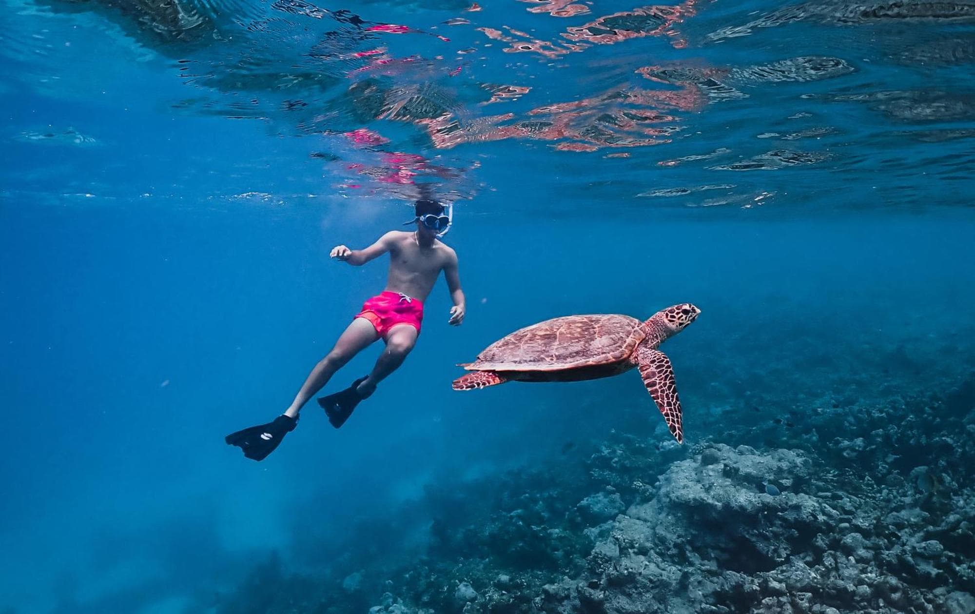 Meeru Maldives Resort Island, 