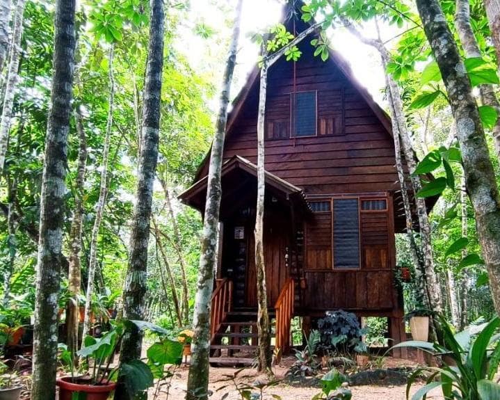 Hotel Ecolodge Makalombia, 