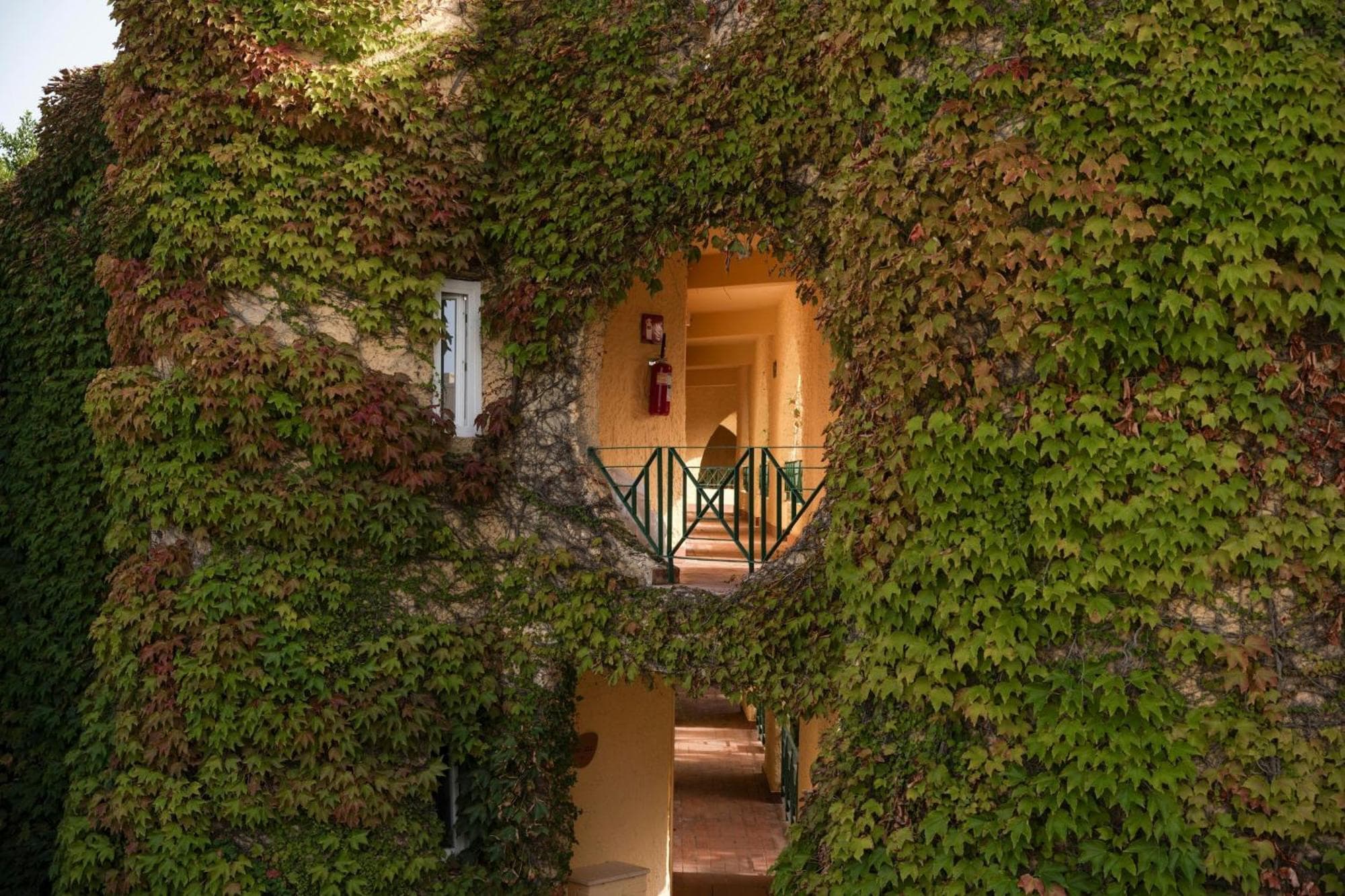 Mangia's Brucoli, Sicily, Autograph Collection, 