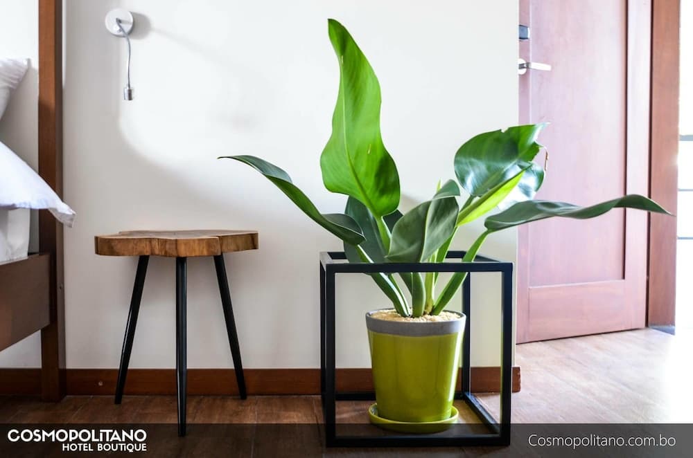 Cosmopolitano Hotel Boutique, Room