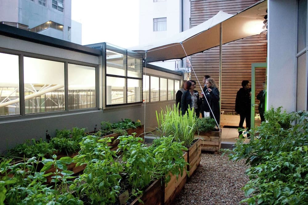 DoubleTree by Hilton Cape Town - Upper Eastside, Exterior