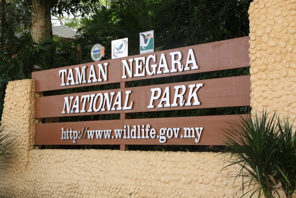 Mutiara Taman Negara, Interior detail