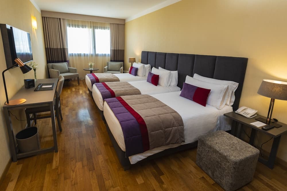 Grand Brizo Buenos Aires, Habitación