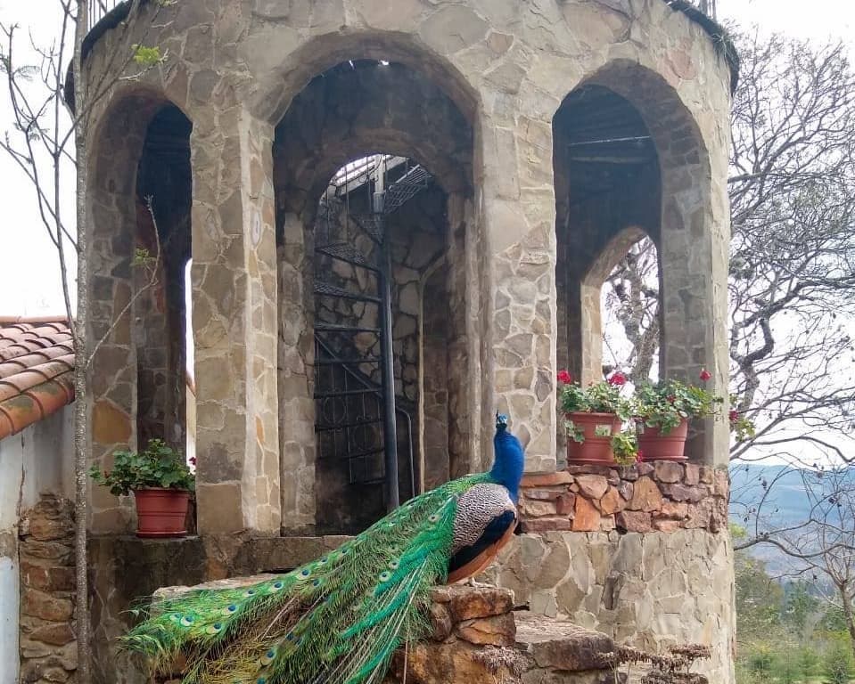 El Pueblito Hotel Boutique, 