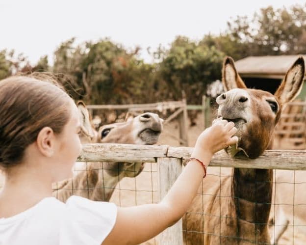 Falkensteiner Resort Capo Boi - GATTINONI, 