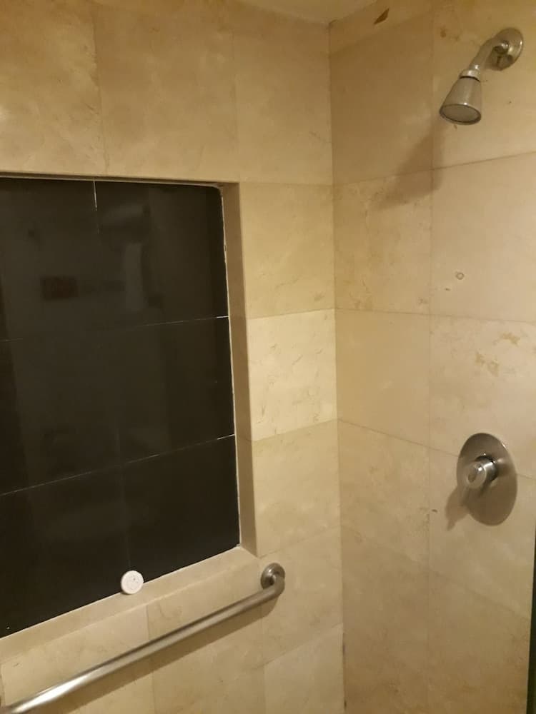 *Hotel & Suites PF, Bathroom shower