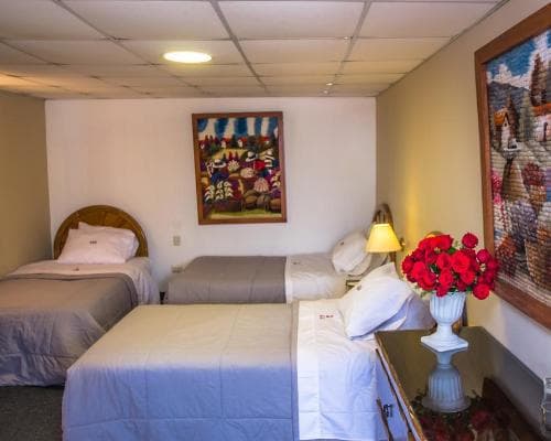 Hotel El Portal del Marques, 