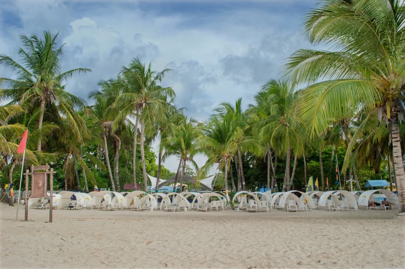 Sol Caribe Campo, PLA