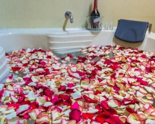 Hotel El Portal del Marques, 