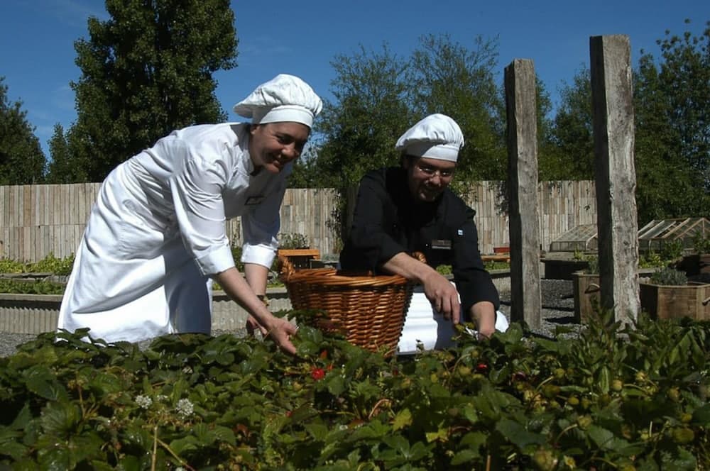 Hotel Posada Los Alamos, Restaurant