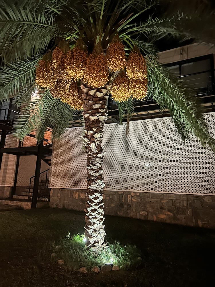 The View, Front of property