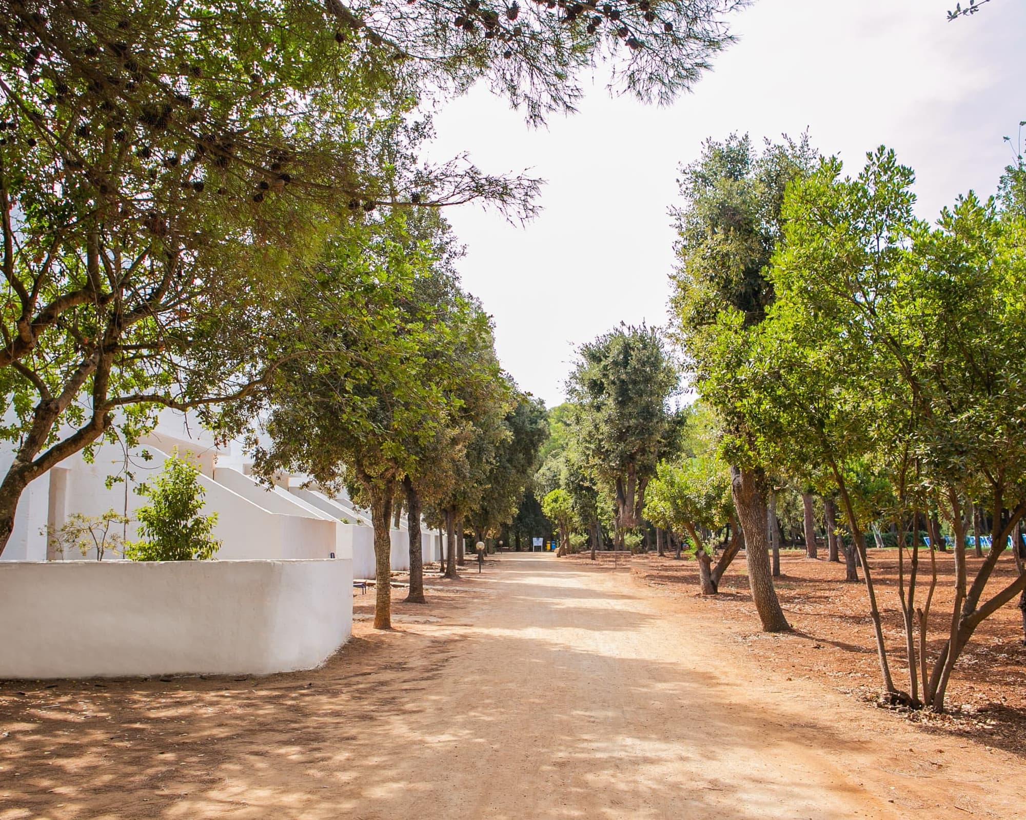 TH Ostuni - GATTINONI, 