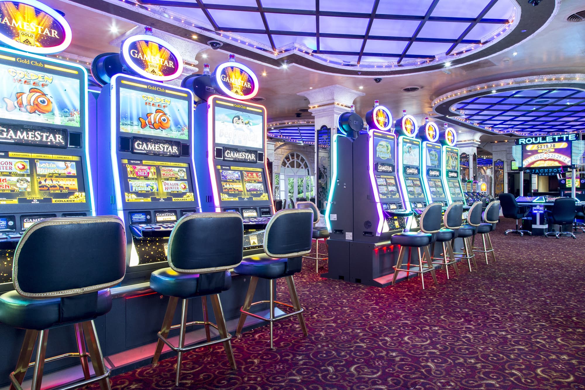 Sunscape Coco Punta Cana, Sports and Entertainment