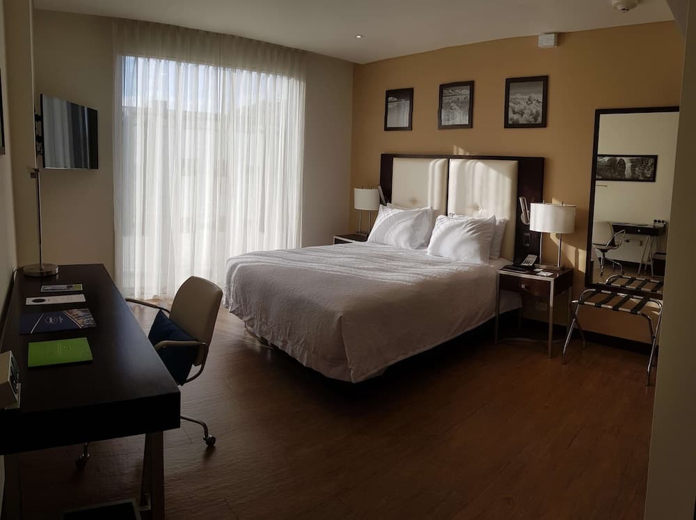 Hampton by Hilton Santa Cruz, Room