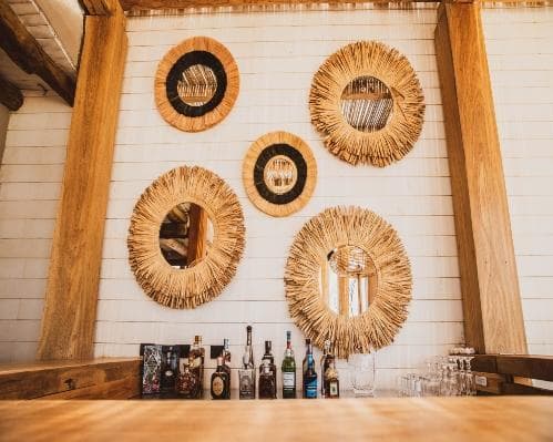 Chelonia casa de Mar , 