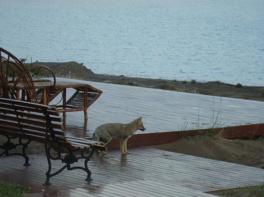 Las Dunas Hotel, Terraza o patio