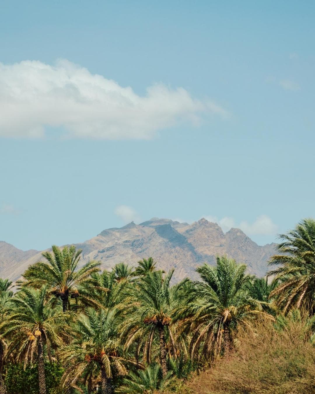 Mandarin Oriental, Muscat, 