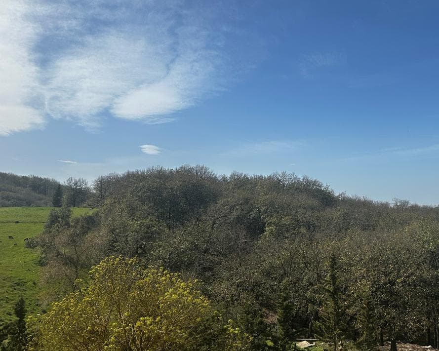 CHARME HOTELS LA FORET AIN DRAHAM, 