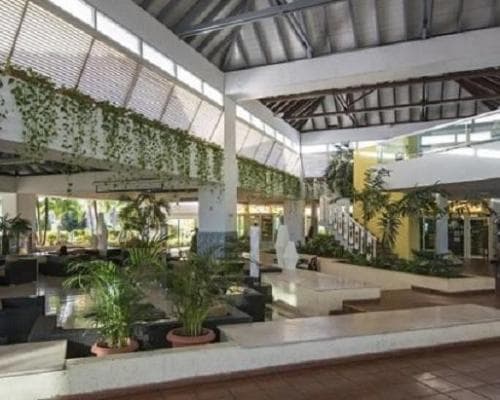 Allegro Palma Real , 