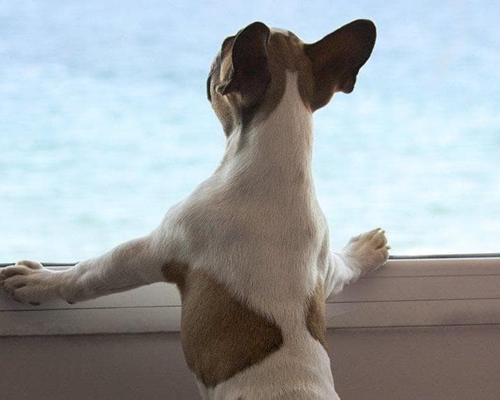 Dazzler Puerto Madryn, 