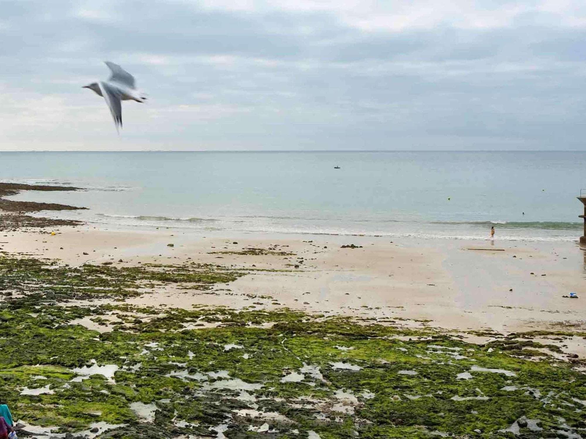Mercure Mont Saint Michel, 
