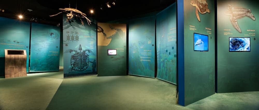 Ras Al Jinz Turtle Reserve, Interior