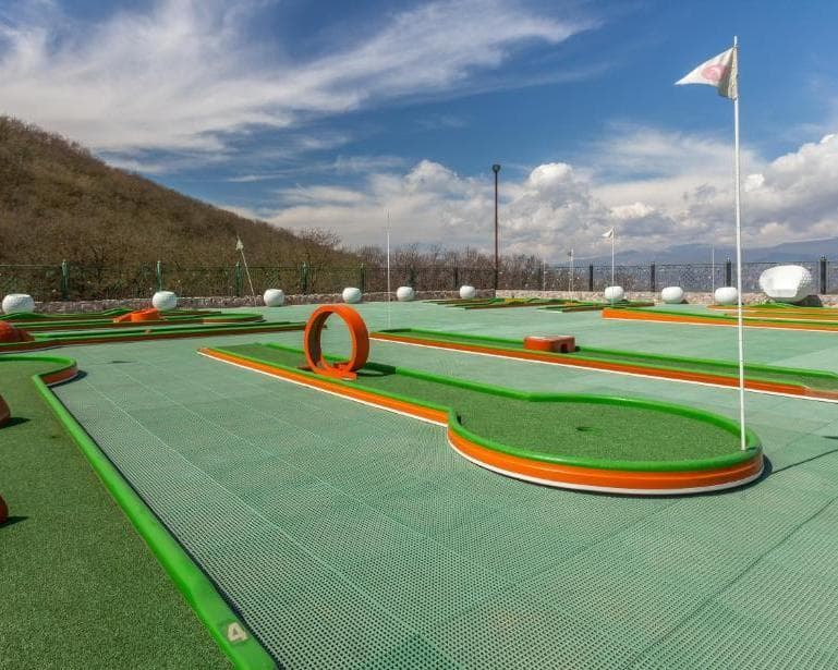 SHAMAKHI PALACE SHARADIL, 