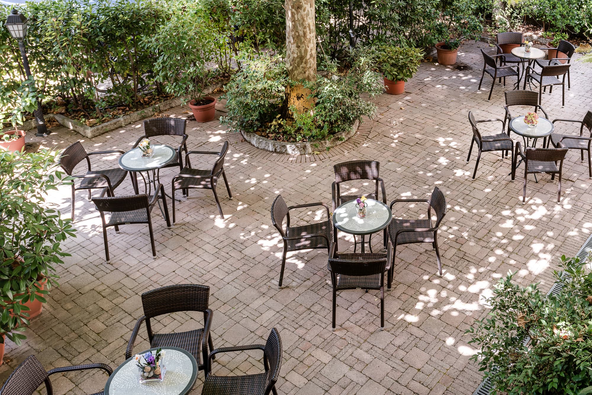 Da Vinci, General view