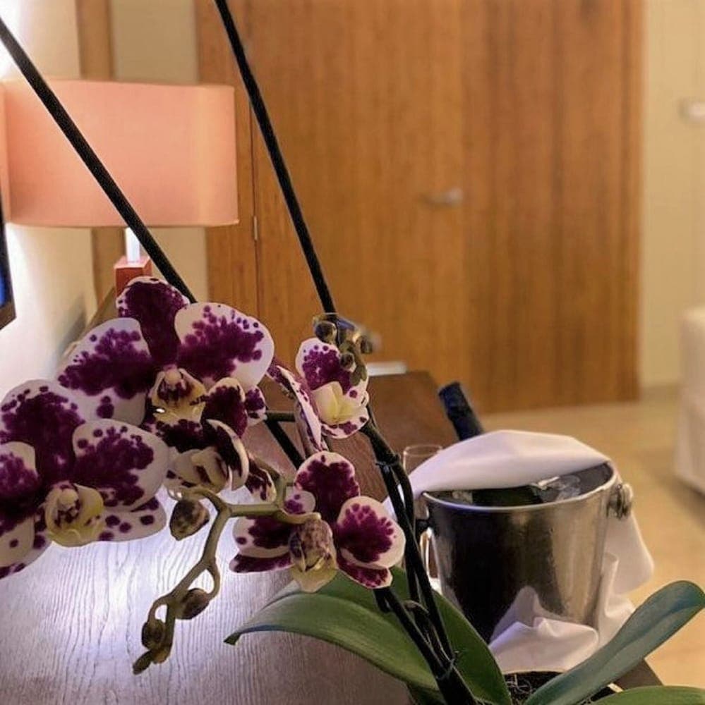 Breathless Punta Cana Resort & Spa - Adults Only - All Inclusive, Room