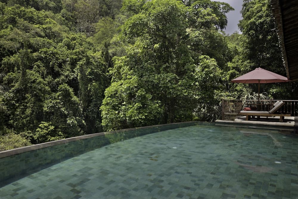 Ayung Resort Ubud 5*, View from room